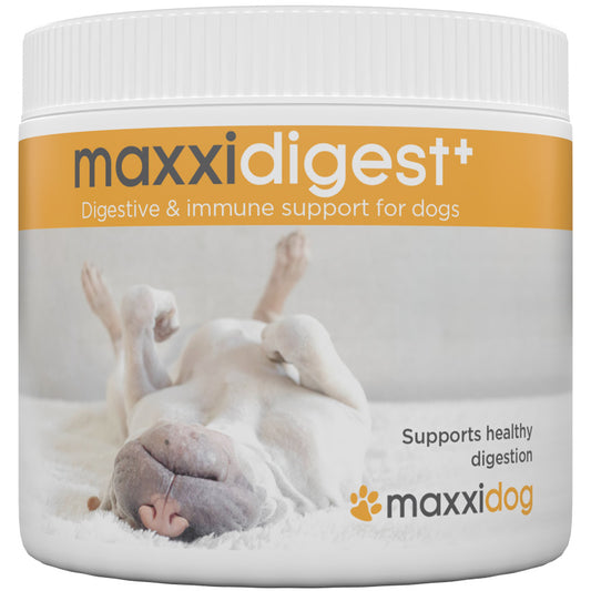 Maxxidigest - Suplemento digestivo - 200gr