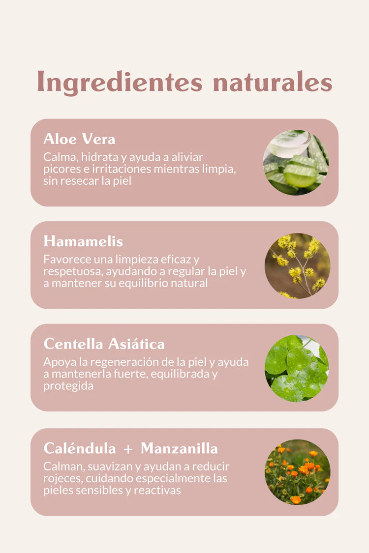 Espuma limpiadora sin aclarado - The doog life