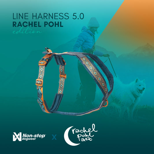 Line harness 5.0 Rachel Pohl edition