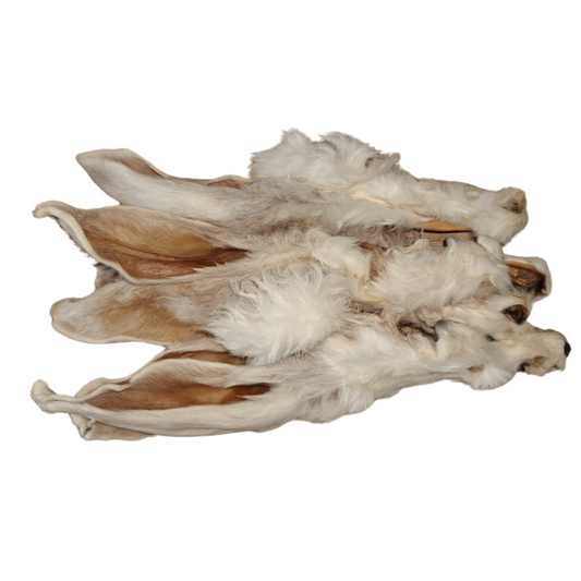 Oreja de conejo con pelo