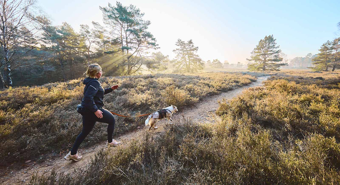 Trail light belt