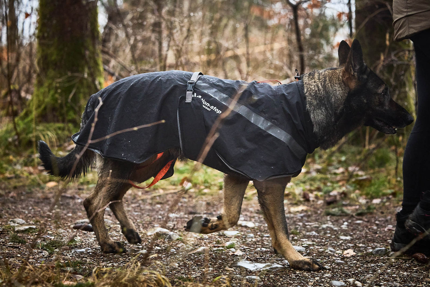 Trekking dog Raincoat - Non-Stop dogwear