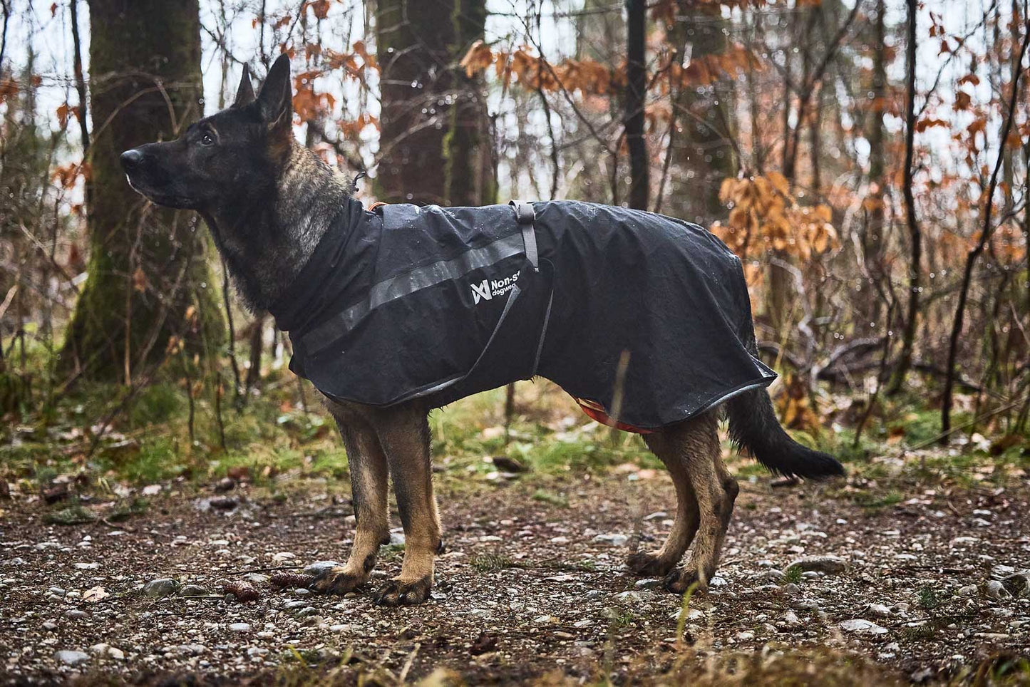 Trekking dog Raincoat - Non-Stop dogwear