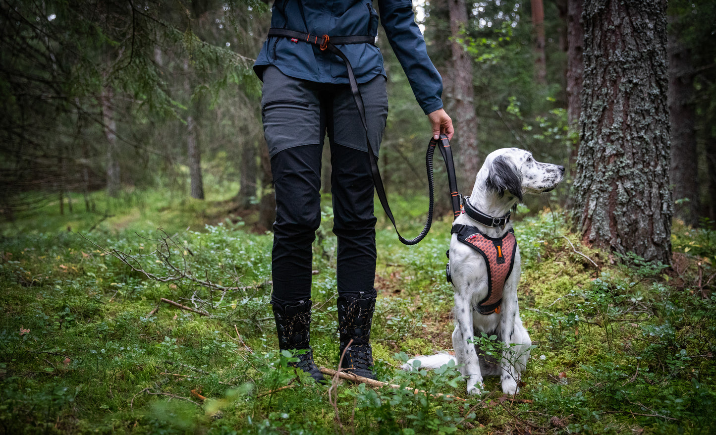 Touring bungee adjustable - Non-Stop dogwear